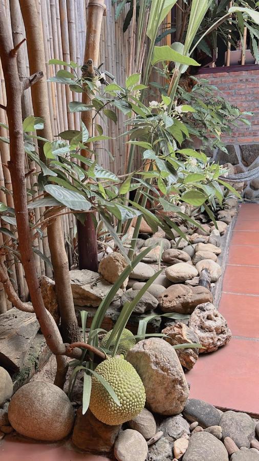 Homestay Da Nang Full House Extérieur photo